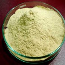 Dried Yeast In Powder Form