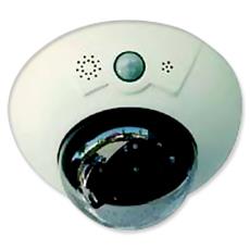 Dome Shaped Security Camera