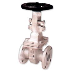 Gate Valve With Replaceable Seat Ring