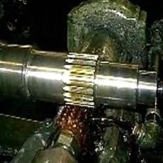 Industrial Diesel Gear Pinion