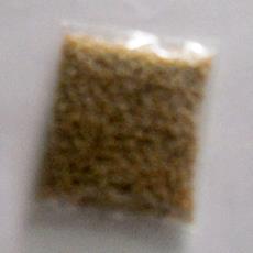 Poly Propylene Reprocessed Granules