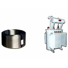 Weather Resistant Electric Transformer