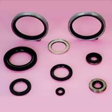 Industry Grade Oil Seal