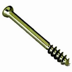 Corrosion Proof Cancellous Screw