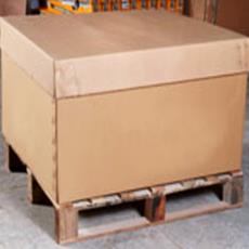 Jumbo Carton Packaging Box