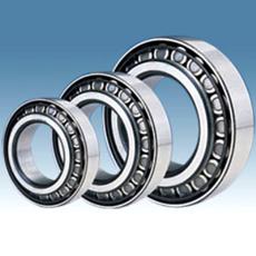 Double/ Four Row Tapered Roller Bearing