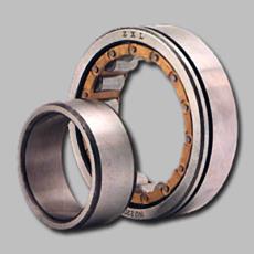 Double Row Cylindrical Bearings