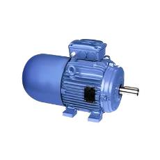 Totally Enclosed Fan Cooled Brake Motor