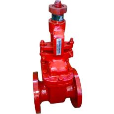 Manually/ Gear/ Actuator Operated Gate Valves