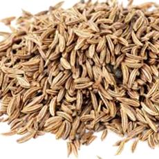 Cumin Seed Extracted Oil