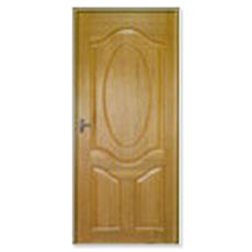 Phenolic Bonded Ev Skin Door