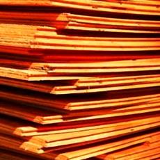 Shrink Resistant Plywood Sheets