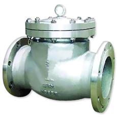 Swing Check Valve Casting