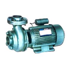 Domestic Monoblock Pump Casting