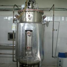 Stainless Steel Industrial Scale Fermentor