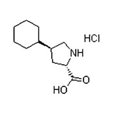 Trans-4-Cyclohexyl-L-Proline