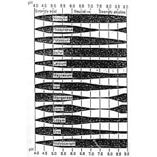 Agricultural Amino Chelated Micronutrient