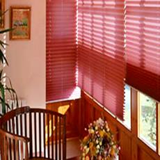 Exterior/ Interior Decorative Pleated Blinds