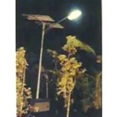 Automatic Solar Compact Fluorescent Street Light