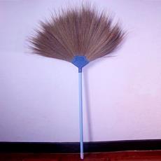 Dried Grass Floor Broom