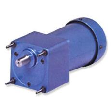 Ac Induction Motors With Thermal Switch Protector