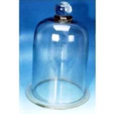 Breath Taking Glass Bell Jar