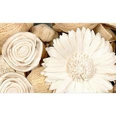 Natural Sola Made Decorative Flower