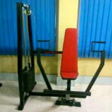 Sited Chest Press Machine