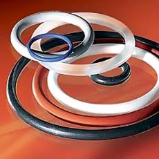 Ptfe O Ring