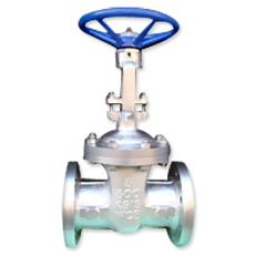 Bolted Bonnet Type Gate Valve