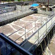 Industrial Sewage Treatment Plant