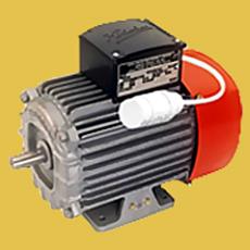 Fan Cooled Induction Motors