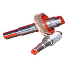 Warm Shaft/ Gear Gun Metal Shaft