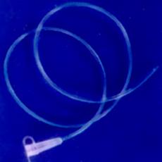 Infant Feeding Tube With Distal End