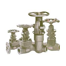 Industrial Purpose Forged Valve