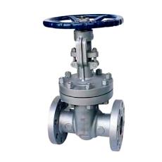 Cast/ Stainless Steel Made Gate Valve