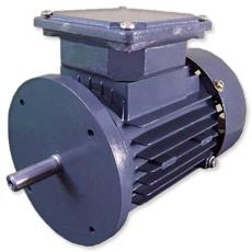 Special Purpose Single/ Three Phase Motor