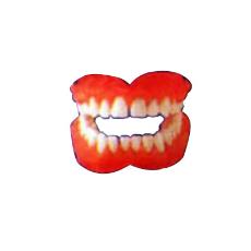 Injection Moulded Pressable Denture