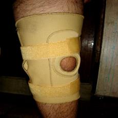 Knee Support With Hinges