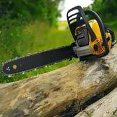 Electrically Operated Chain Saw