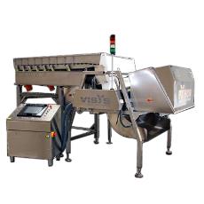 Algorithm Based Digital Laser Sorting Machine