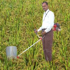 Portable Type Fabricated Sugarcane Harvester