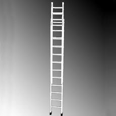 Wall Support Extendable Ladder