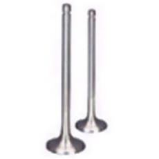 Engine Valves For Automotive Industry