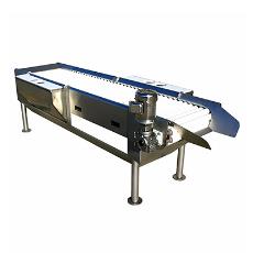 Inspection Conveyor With Height Adjustment Facility