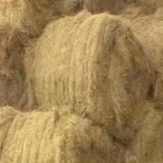 Industrial Grade Coir Fibre