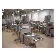 Dry Fruit Process/ Packaging Line