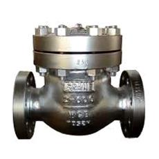 Jacketed Type Check Valves