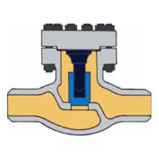 Lift Type Check Valve