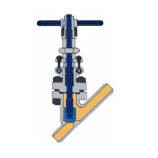 Y-Type Bolted Bonnet Globe Valve